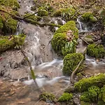 Neokrnjena Narava Casa vacanze