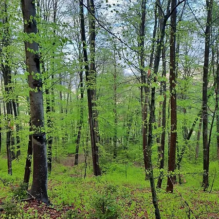 Neokrnjena Narava Sevnica