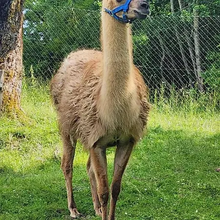 Prázdninový dům Neokrnjena Narava *