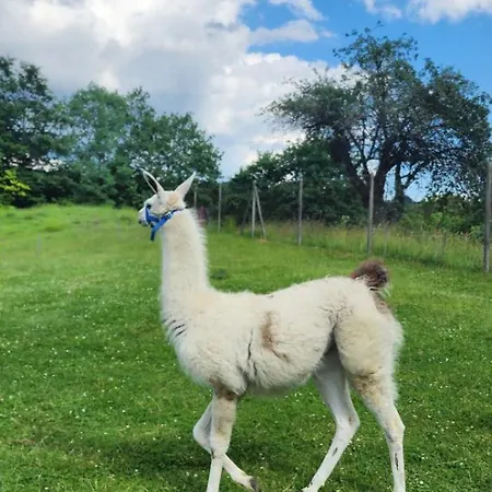 Neokrnjena Narava בית נופש Sevnica