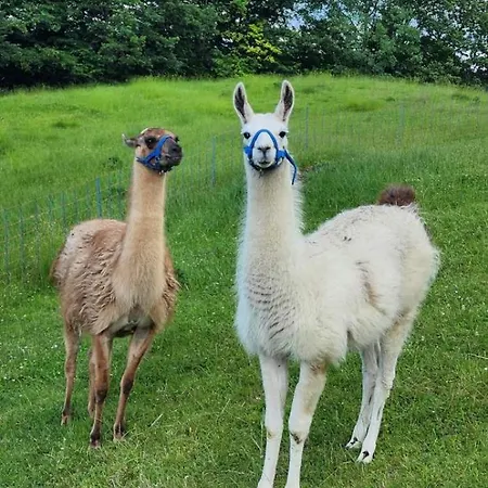 בית נופש Neokrnjena Narava Sevnica