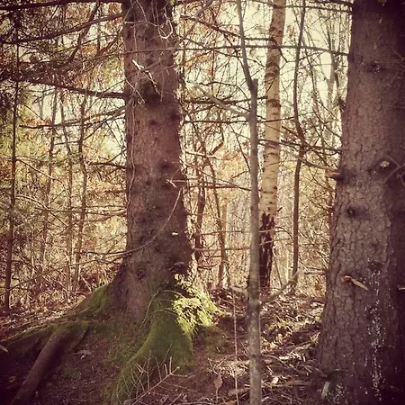 Neokrnjena Narava בית נופש