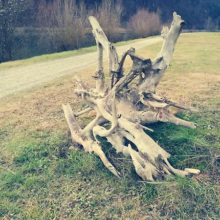 Neokrnjena Narava *