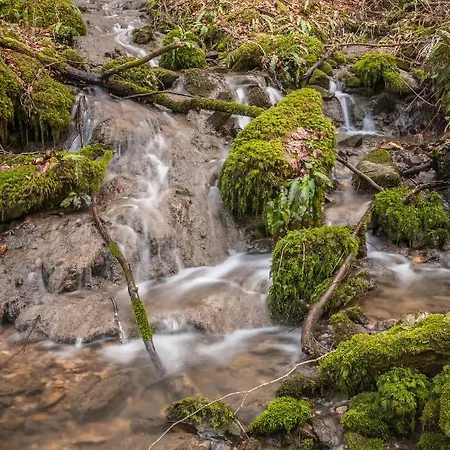 Neokrnjena Narava בית נופש