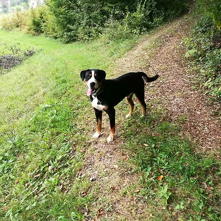 Prázdninový dům Neokrnjena Narava