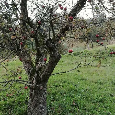 Prázdninový dům Neokrnjena Narava *