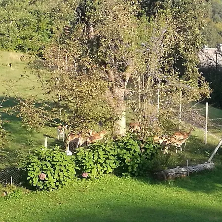 Neokrnjena Narava Holiday home *