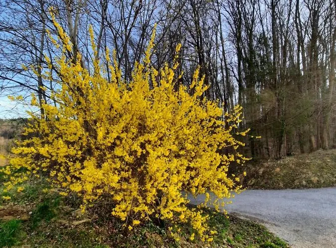 Neokrnjena Narava Ferienhaus