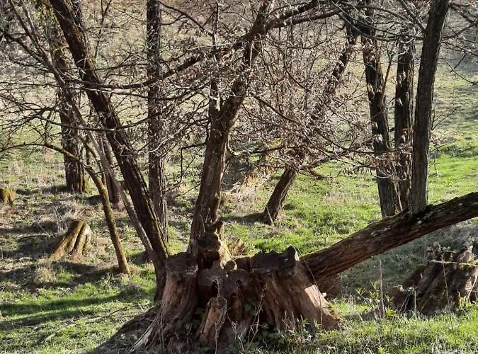 Neokrnjena Narava Ferienhaus *