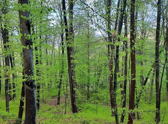 Neokrnjena Narava Sevnica