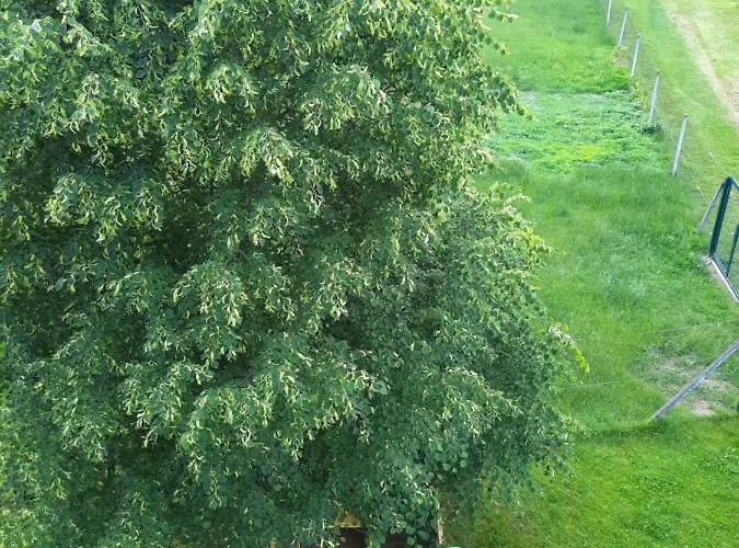 Neokrnjena Narava * Sevnica