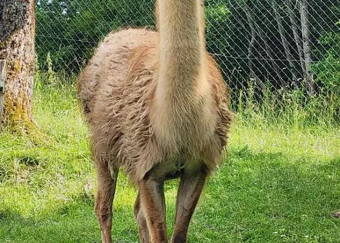 度假居 Neokrnjena Narava *