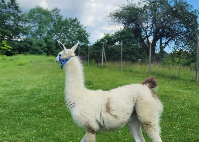 Neokrnjena Narava 度假居 Sevnica