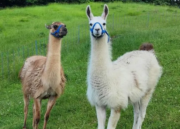 Ferienhaus Neokrnjena Narava Sevnica