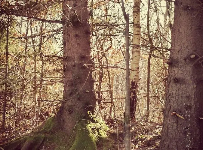 Neokrnjena Narava 度假居