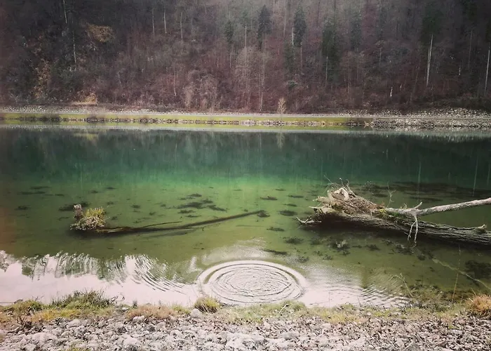 Neokrnjena Narava Sevnica