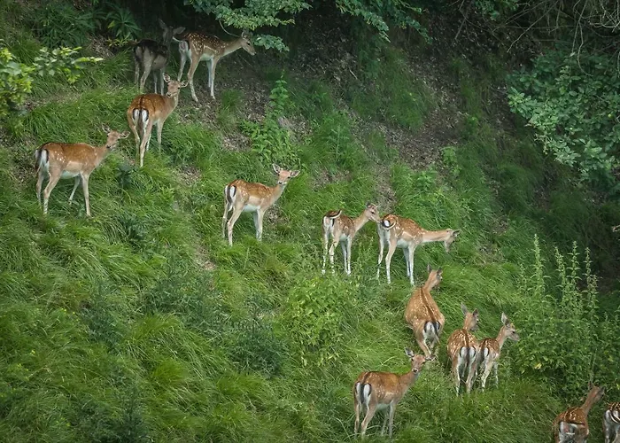 Ferienhaus Neokrnjena Narava Sevnica