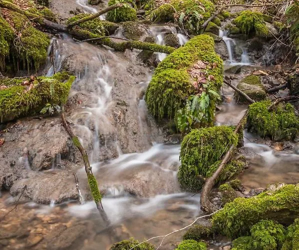 Neokrnjena Narava Ferienhaus