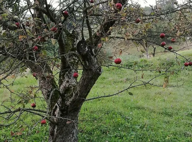 度假居 Neokrnjena Narava *