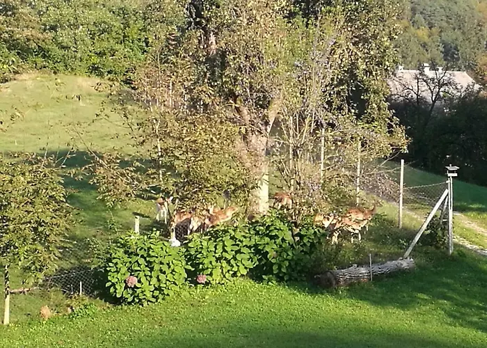 Neokrnjena Narava 度假居 *